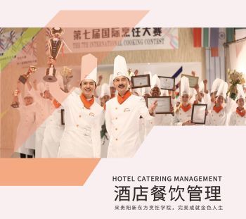 上云展網，餐飲信息咨詢產品畫冊的全新升級之旅