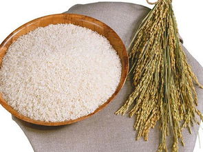 南城膳食公司 東莞區(qū)域信譽卓越的食堂承包與餐飲信息咨詢服務(wù)專家